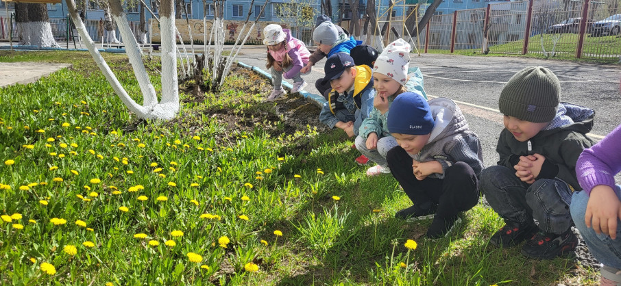 "День одуванчика" в средней группе "День одуванчика" в средней группе.